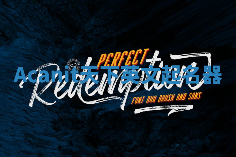 Acanit天下英文起名器