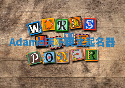 Adamo天下英文起名器