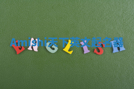 Amishi天下英文起名器