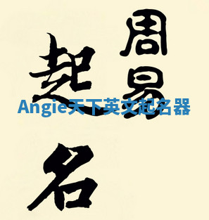 Angie天下英文起名器 Angie天下英文起名器