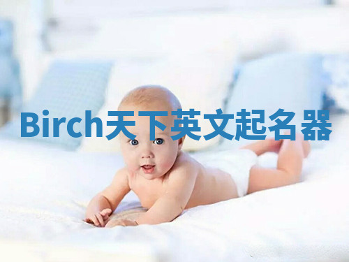 Birch天下英文起名器 Birch天下英文起名器