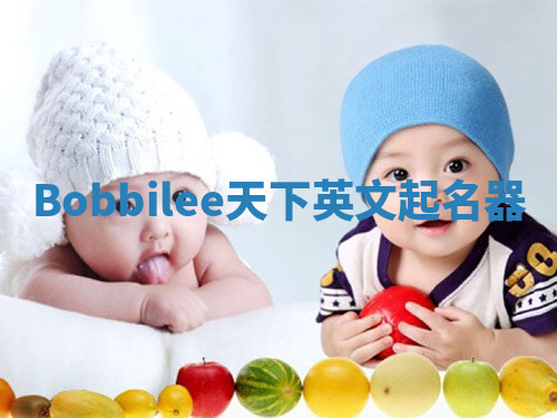 Bobbilee天下英文起名器