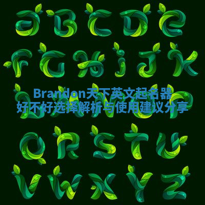 Brandon天下英文起名器好不好选择解析与使用建议分享 Brandon天下英文起名器好不好选择解析与使用建议分享