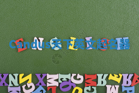 Candus天下英文起名器