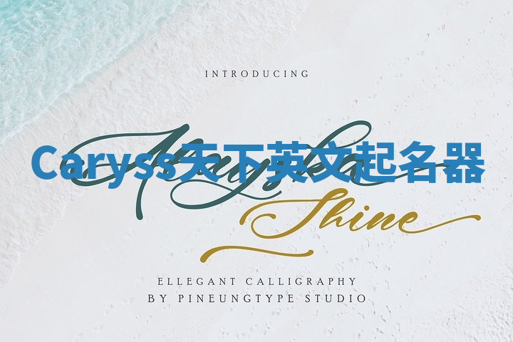 Caryss天下英文起名器