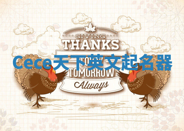 Cece天下英文起名器 Cece天下英文起名器