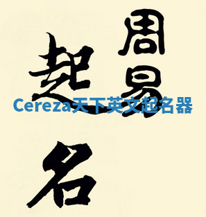 Cereza天下英文起名器