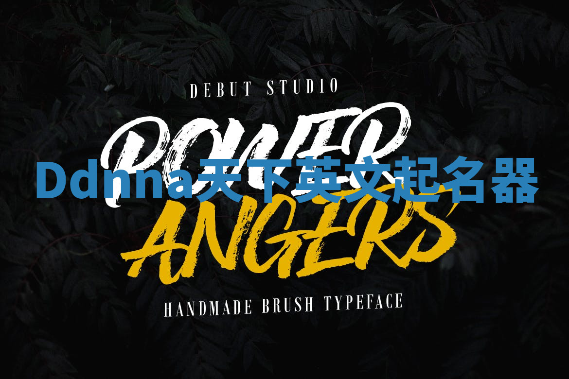 Ddnna天下英文起名器 Ddnna天下英文起名器