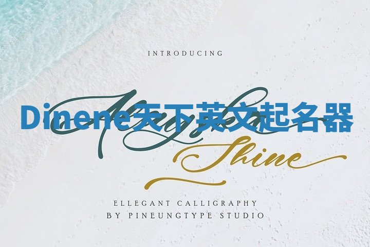 Dinene天下英文起名器 Dinene天下英文起名器