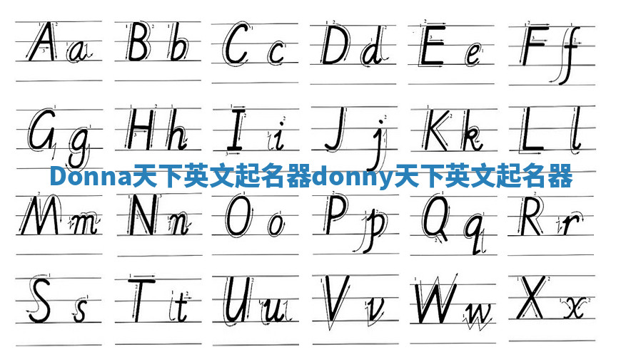Donna天下英文起名器 donny天下英文起名器