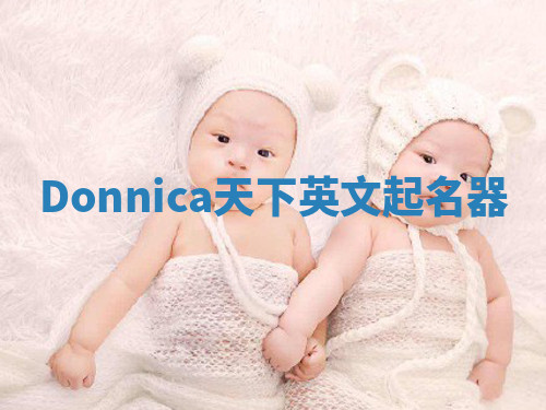 Donnica天下英文起名器