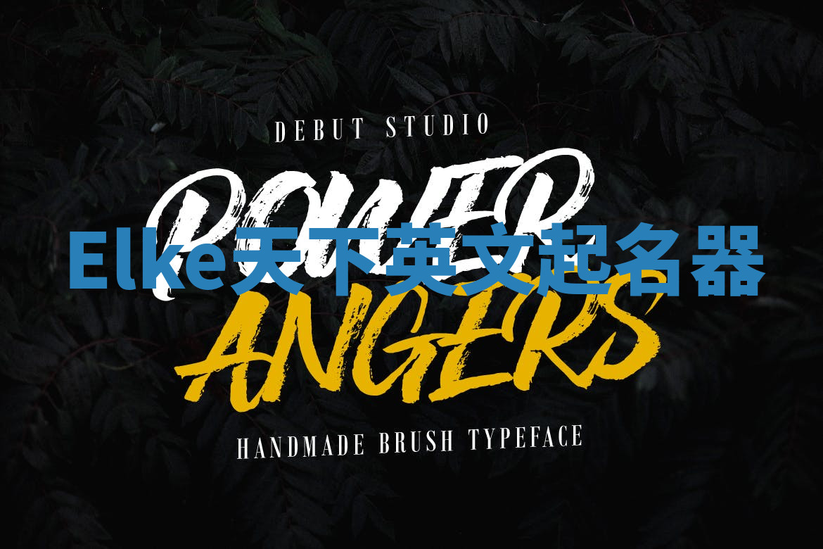 Elke天下英文起名器 Elke天下英文起名器