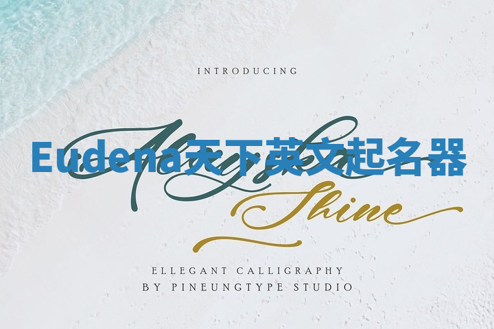 Eudena天下英文起名器