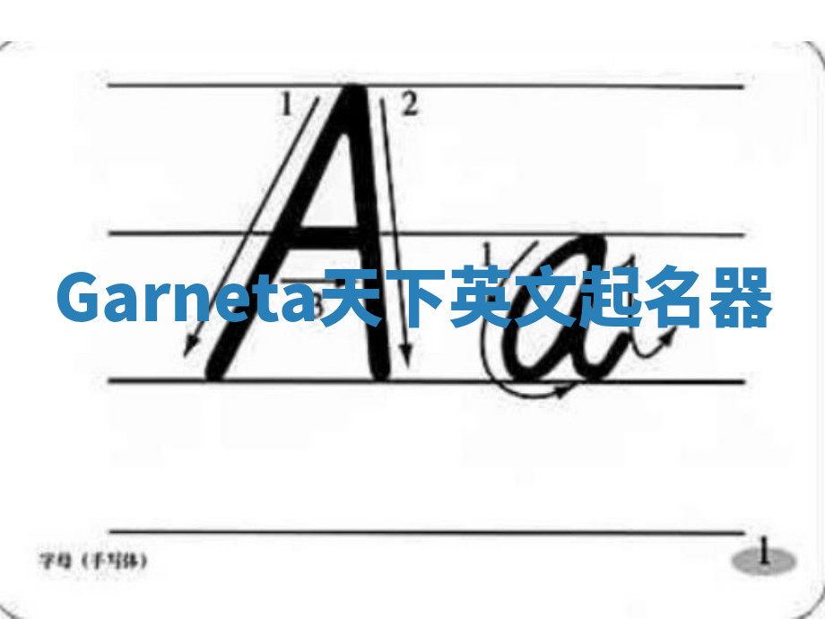 Garneta天下英文起名器
