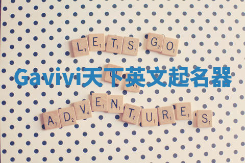 Gavivi天下英文起名器