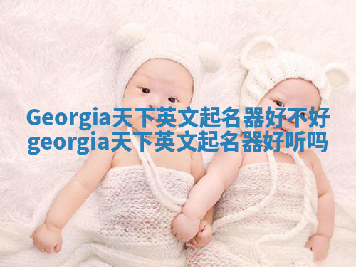 Georgia天下英文起名器好不好 georgia天下英文起名器好听吗