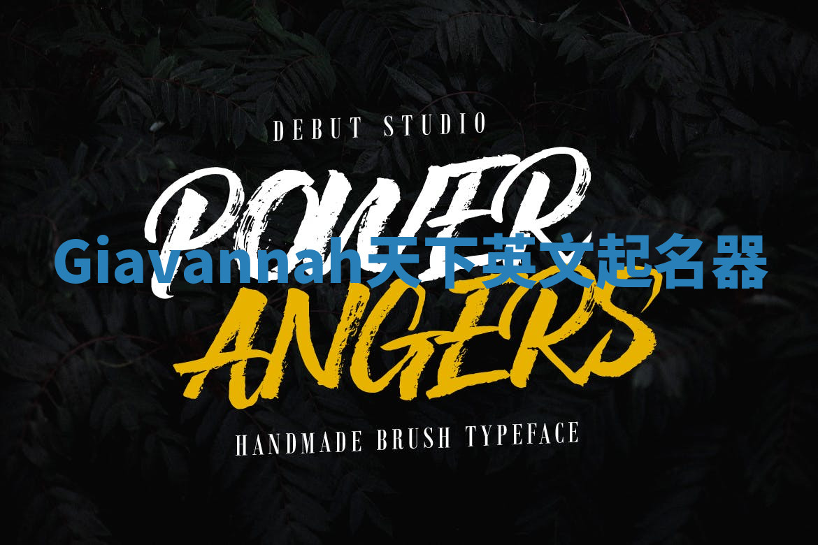 Giavannah天下英文起名器 Giavannah天下英文起名器