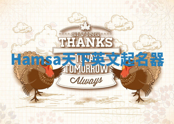 Hamsa天下英文起名器