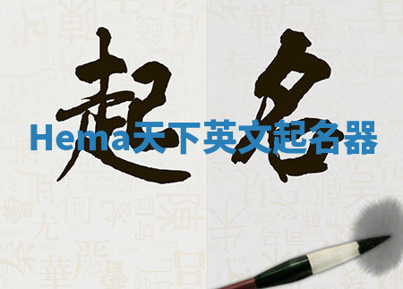 Hema天下英文起名器