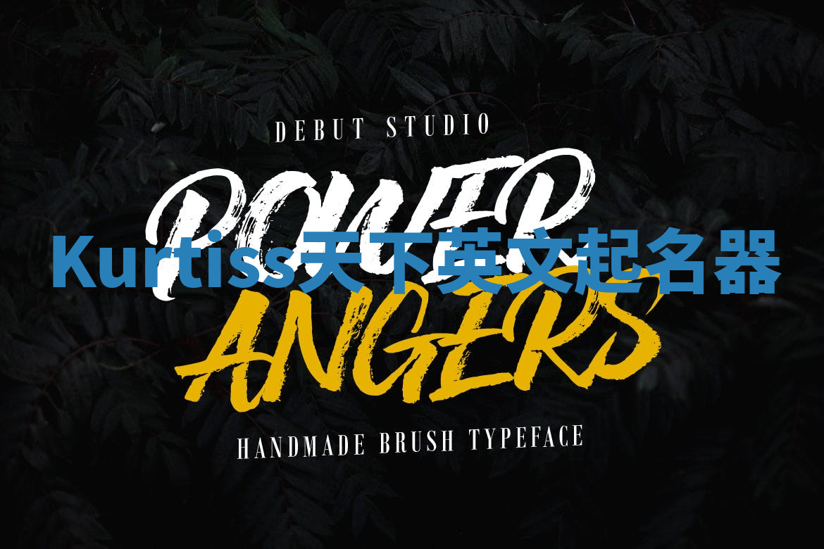 Kurtiss天下英文起名器