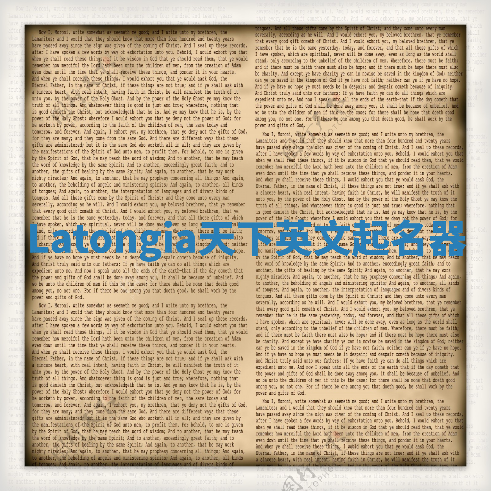 Latongia天下英文起名器