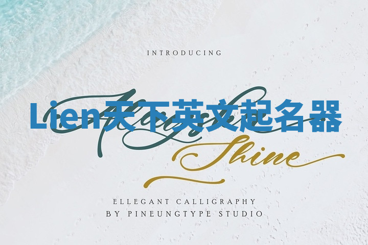 Lien天下英文起名器