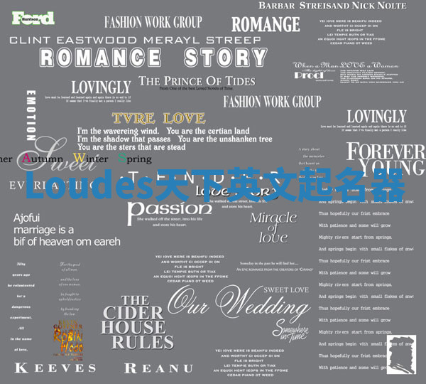 Loudes天下英文起名器