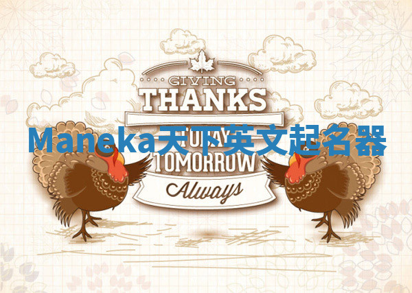 Maneka天下英文起名器