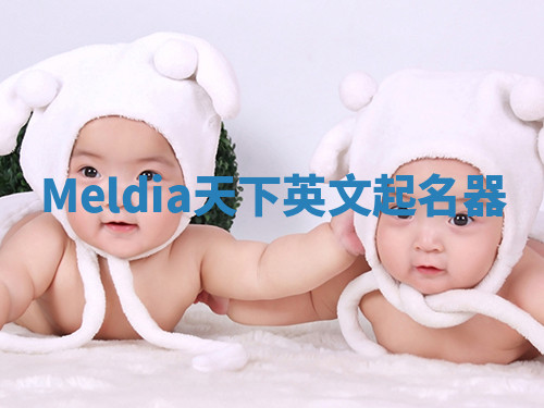 Meldia天下英文起名器 Meldia天下英文起名器