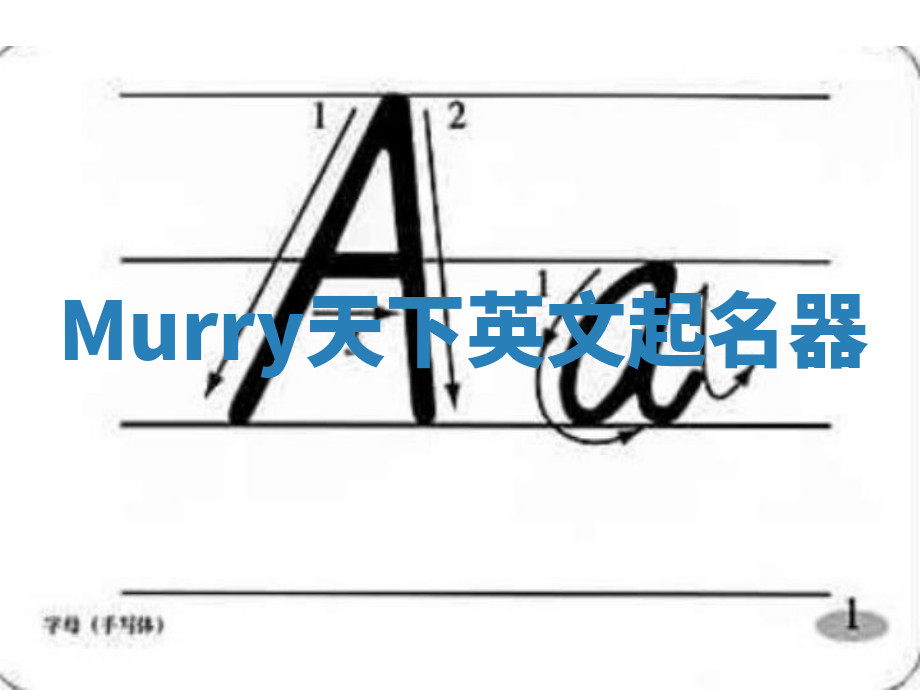 Murry天下英文起名器