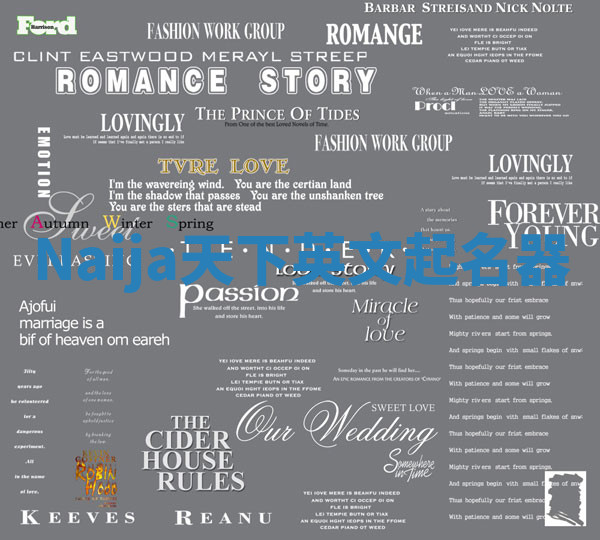 Naija天下英文起名器