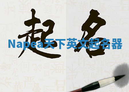 Napea天下英文起名器 Napea天下英文起名器