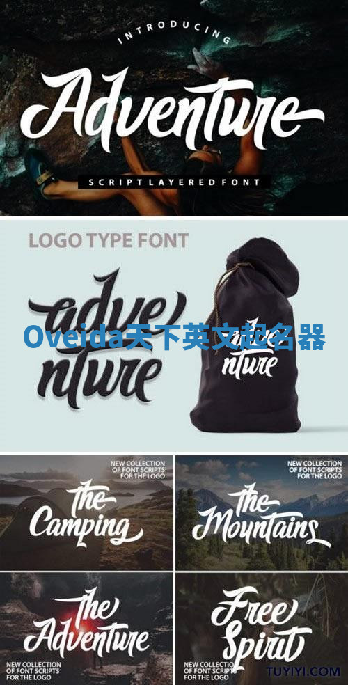 Oveida天下英文起名器