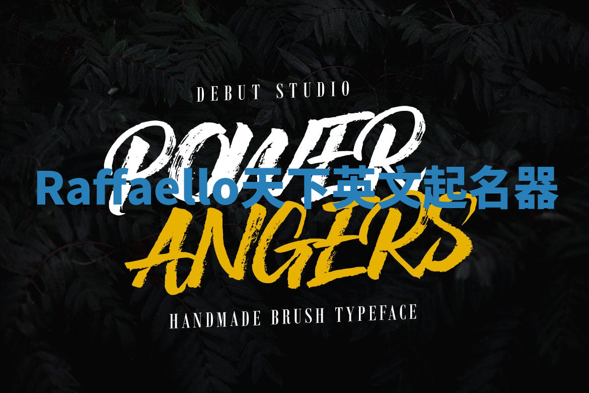 Raffaello天下英文起名器 Raffaello天下英文起名器