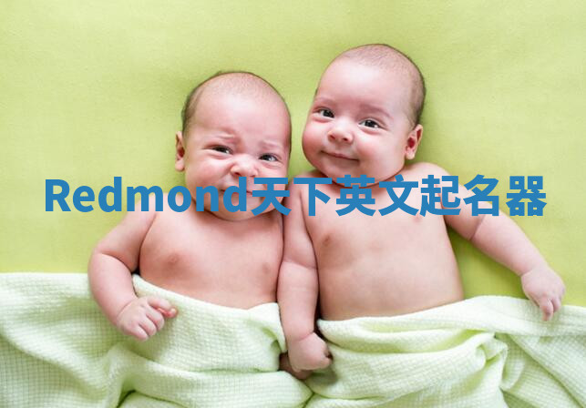 Redmond天下英文起名器 Redmond天下英文起名器