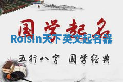 Roisin天下英文起名器