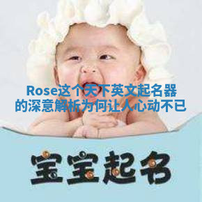 Rose这个天下英文起名器的深意解析为何让人心动不已 Rose这个天下英文起名器的深意解析为何让人心动不已