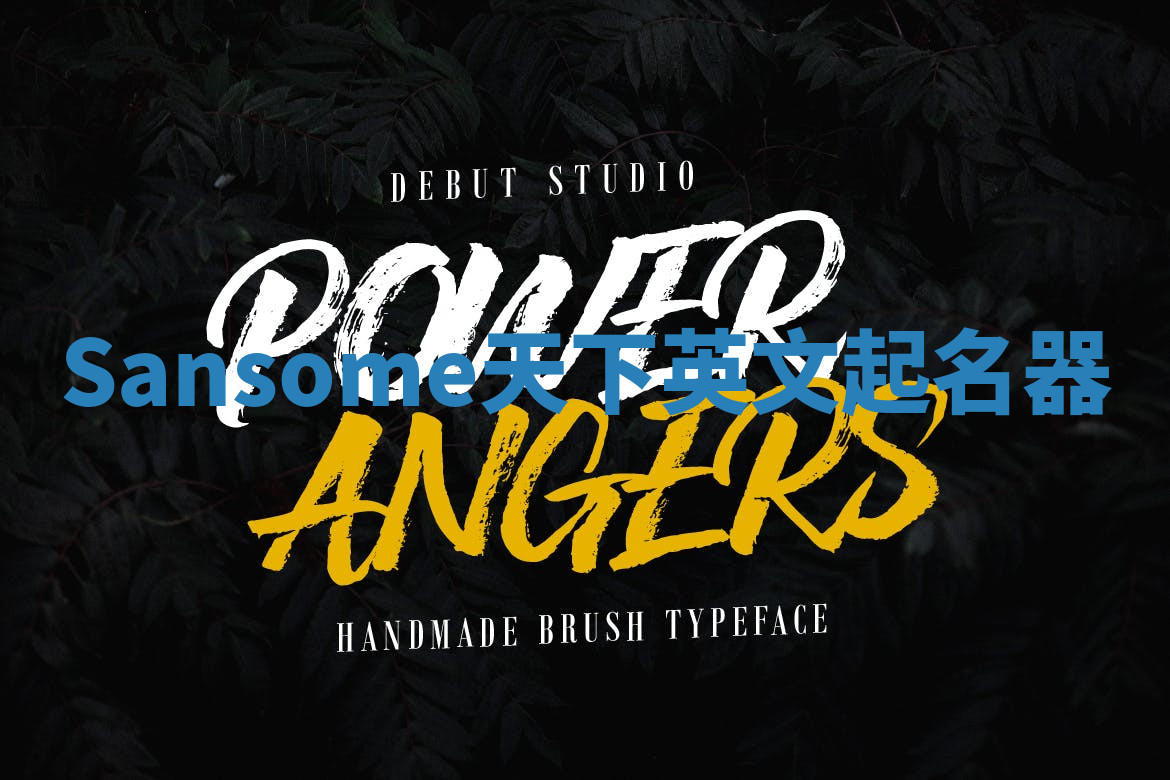 Sansome天下英文起名器 Sansome天下英文起名器