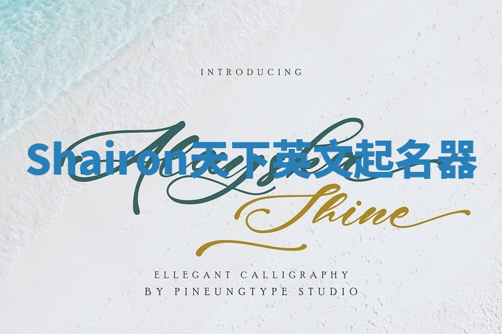 Shairon天下英文起名器