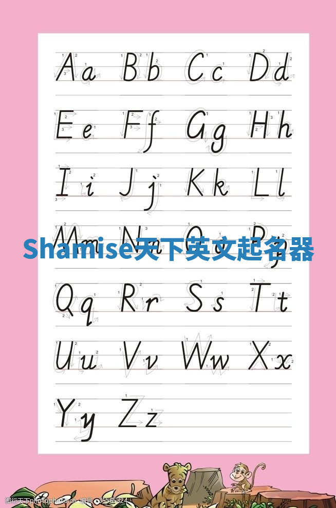 Shamise天下英文起名器