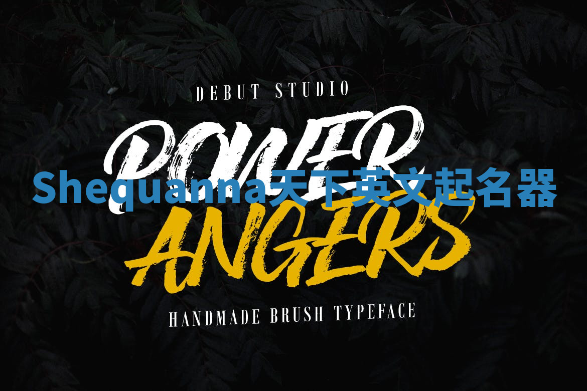 Shequanna天下英文起名器