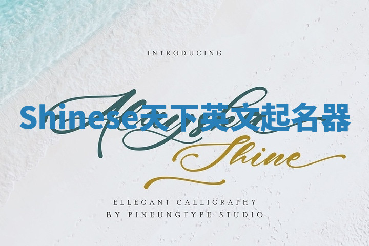 Shinese天下英文起名器 Shinese天下英文起名器