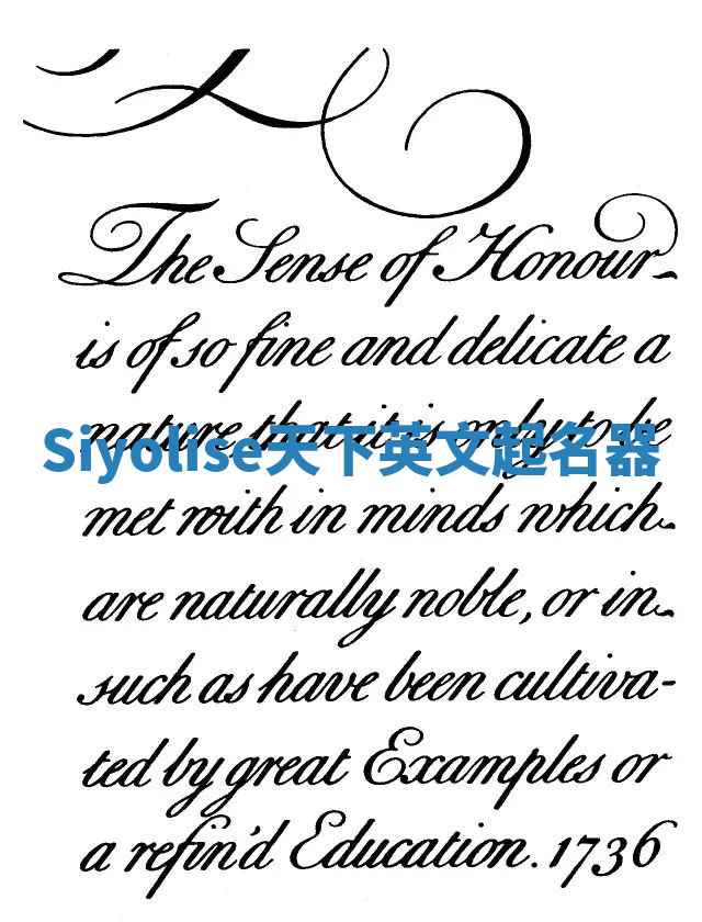 Siyolise天下英文起名器