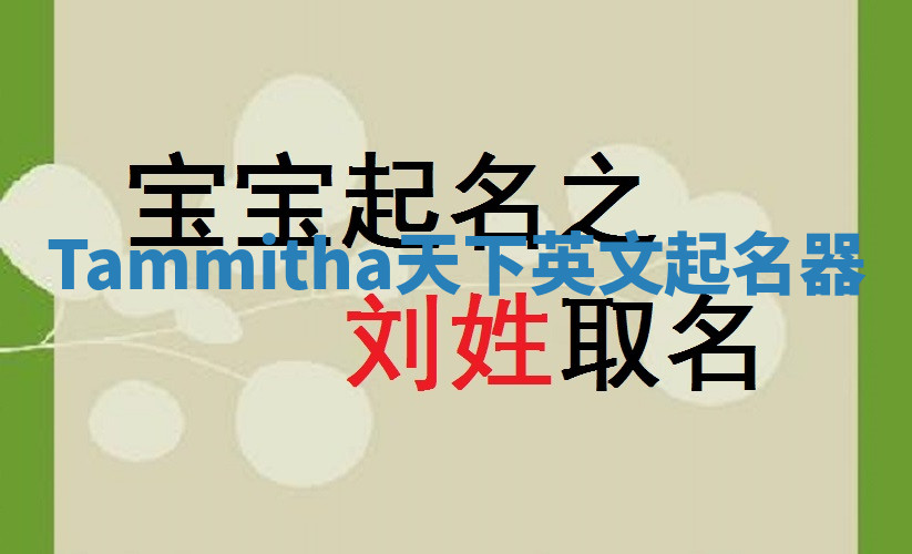Tammitha天下英文起名器