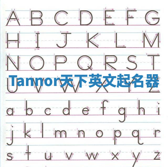 Tannor天下英文起名器