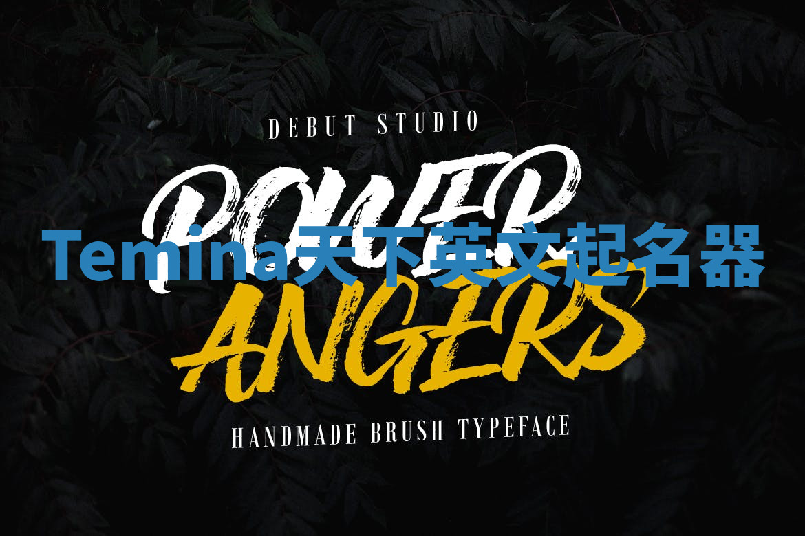 Temina天下英文起名器 Temina天下英文起名器