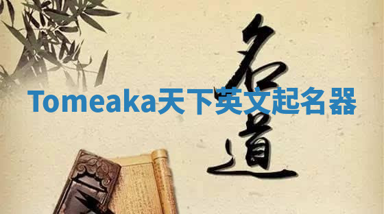 Tomeaka天下英文起名器 Tomeaka天下英文起名器