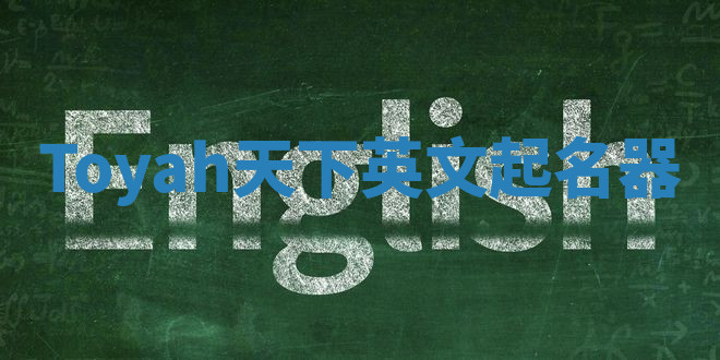 Toyah天下英文起名器