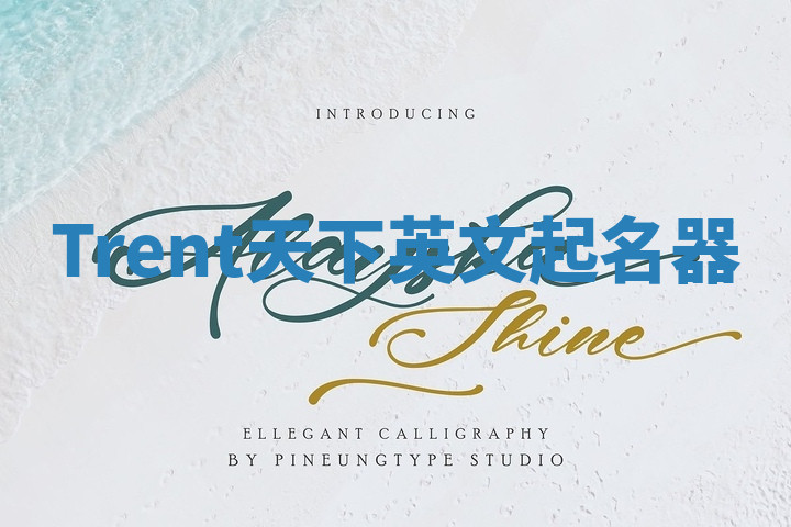 Trent天下英文起名器