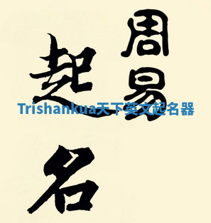Trishankua天下英文起名器
